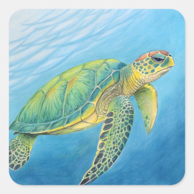 Beauty of the turtle quadratischer aufkleber (Vorderseite)