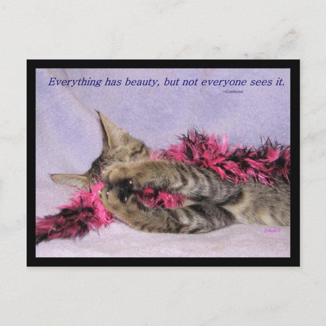 Beauty Postcard Postkarte (Vorderseite)