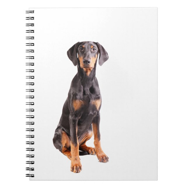 beautyful Dobermann Pinscher Notizblock (Vorderseite)