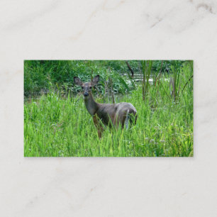 Beaux Cartes de visite de cerfs