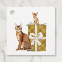 Beaux chats abyssiniens sur un paquet étiquettes c