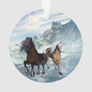 Beaux chevaux
