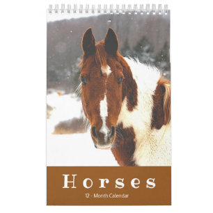 Beaux Chevaux Calendrier des petits chevaux de 12 