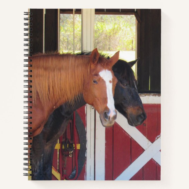 Beaux Chevaux - Carnet Spiral (Devant)