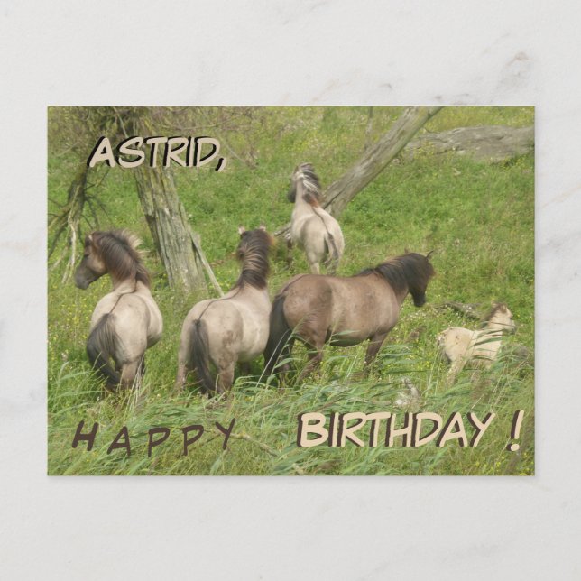Beaux chevaux sauvages Carte d'anniversaire person (Devant)