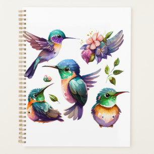 Beaux et mignons colibris pour les amateurs d'oise