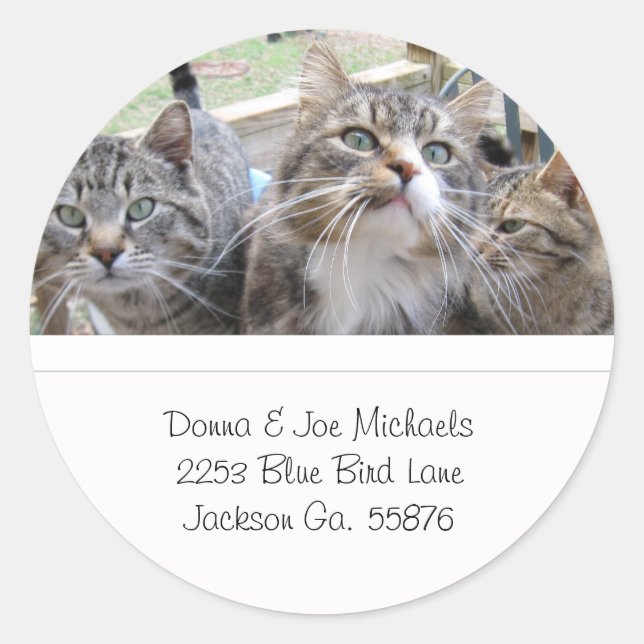 Beaux Étiquettes de adresse de chats (Devant)
