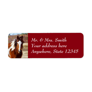 Beaux étiquettes de adresse de retour de cheval d