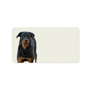 Beaux Étiquettes Rottweiler