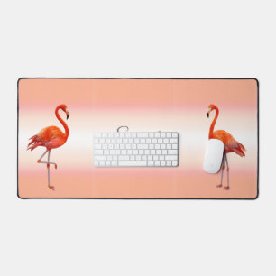 Beaux flamants roses sur fond corail clair