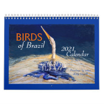Beaux "OISEAUX du Brésil" Calendrier 2021