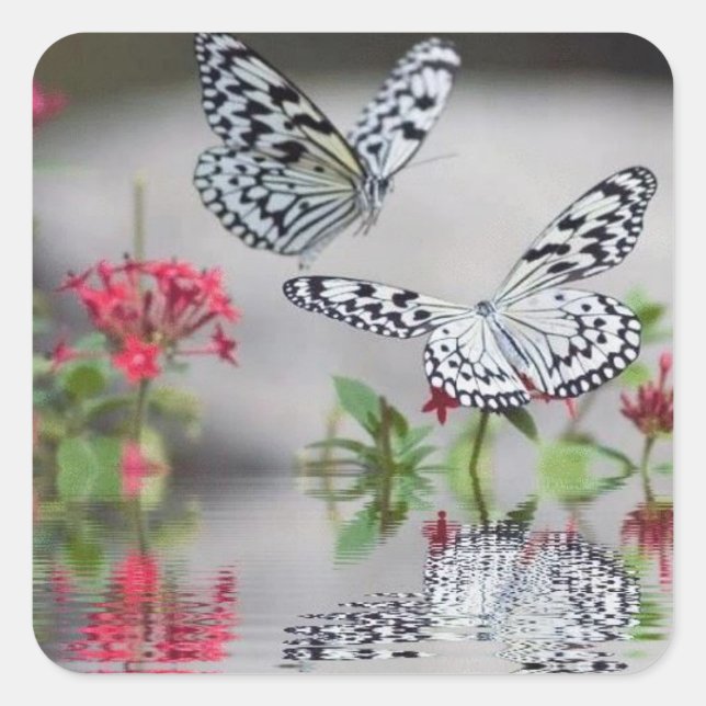 Beaux papillons dans le jeu de stickers de vol (Devant)