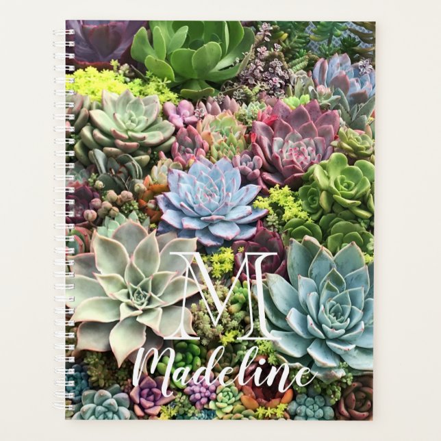 Beaux succulents (Devant)