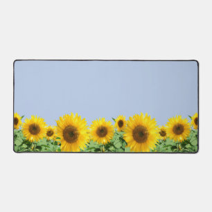 Beaux Tournesols sur Fond Bleu Ciel