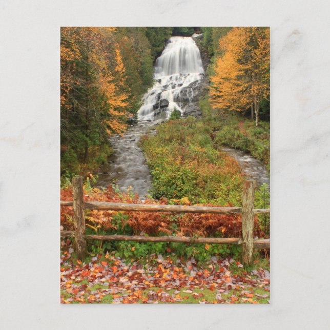 Beaver Brook Falls Colebrook Postkarte (Vorderseite)