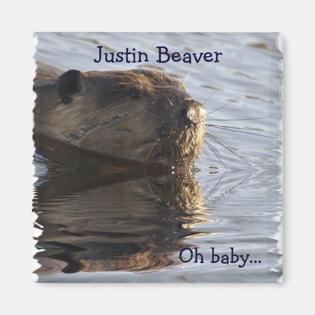 Beaver-Magnete Magnet (Vorne)