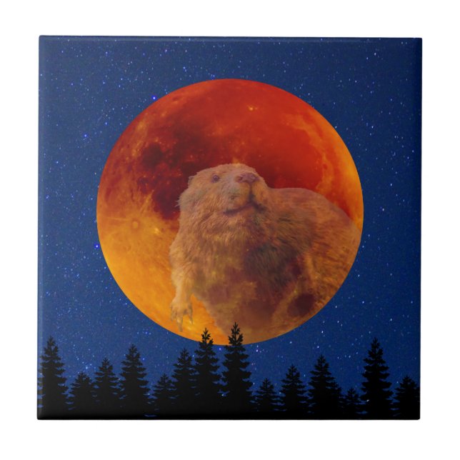Beaver Moon im November Fliese (Vorderseite)