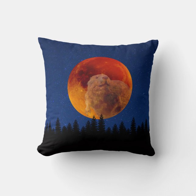 Beaver Moon im November Kissen (Vorderseite)