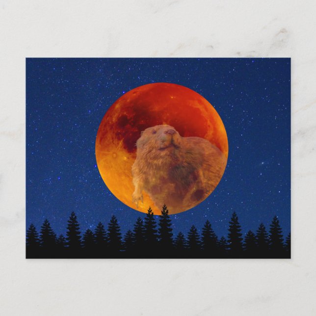 Beaver Moon im November Postkarte (Vorderseite)