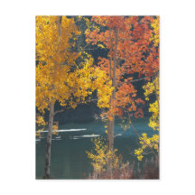 Beaver See (Mesa Seen) im Herbst