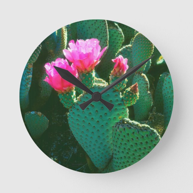 Beavertail Cactus Blume Runde Wanduhr (Vorderseite)