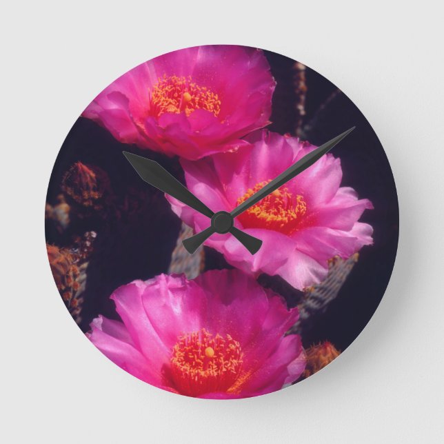 Beavertail Cactus Flowers 2 Runde Wanduhr (Vorderseite)