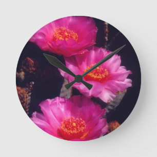 Beavertail Cactus Flowers 2 Runde Wanduhr