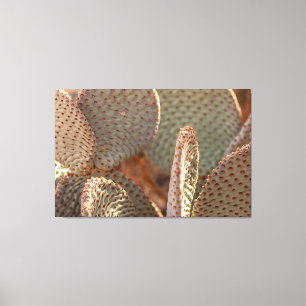 Beavertail Cactus Leinwanddruck