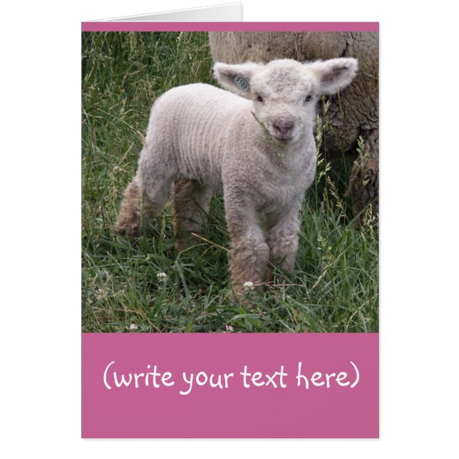 Bébé adorable (Devant)