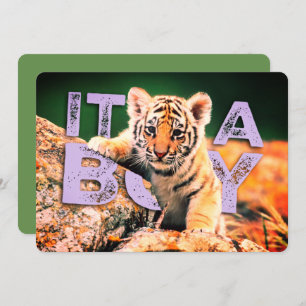 Bébé de Nick David - invitation de douche de tigre