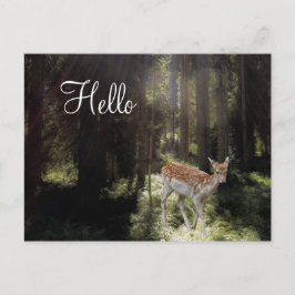 Bébé faon sur carte postale dans un rayon de solei