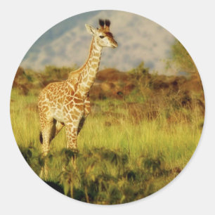 Bébé girafe autocollants de la faune