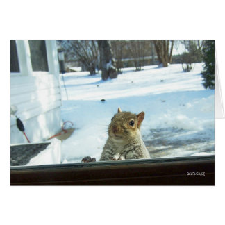 Bébé Il fait froid dehors