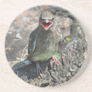 Bébé mignon Bird Nature Boire Dessous de verre