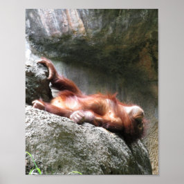 Bébé mignon Orangutan Home Décor Poster