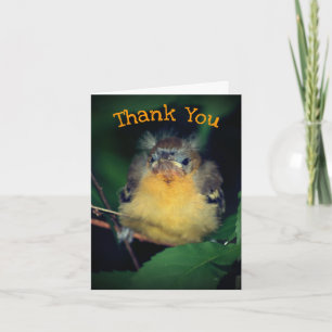 Bébé mignon Oriole Bird Nature Carte de remercieme