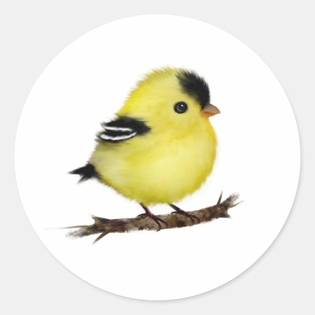 Bébé mignon Stickers Oiseaux Goldfinch (Devant)