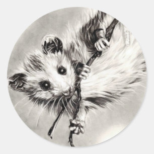 Bébé Opossum Stickers