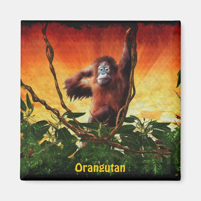 Bébé Orangoutan & Jungle Wildlife Art Magnet (Devant)