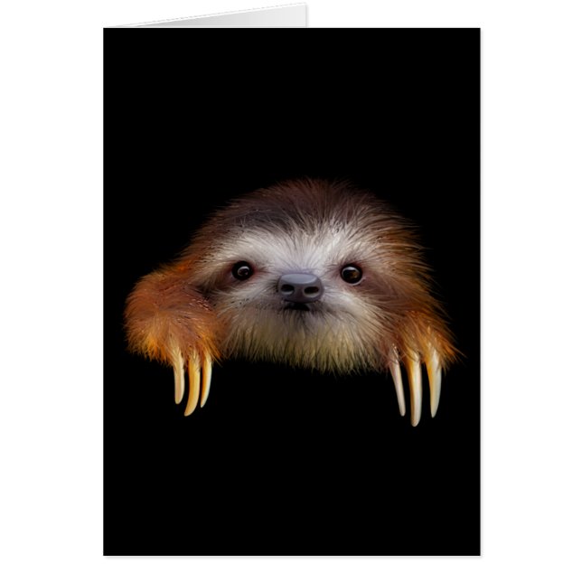 Bébé Sloth (Devant)