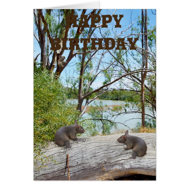 Bébé Wombats Jouant Sur Un Journal, Anniversaire (Devant)