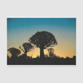 Beben-Baum-Waldsonnenuntergang-Seidenpapier Seidenpapier