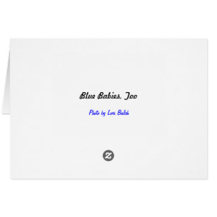 Bébés bleus, aussi