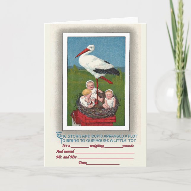 Bébés dans le nid de cigogne Faire-part de naissan (Devant)