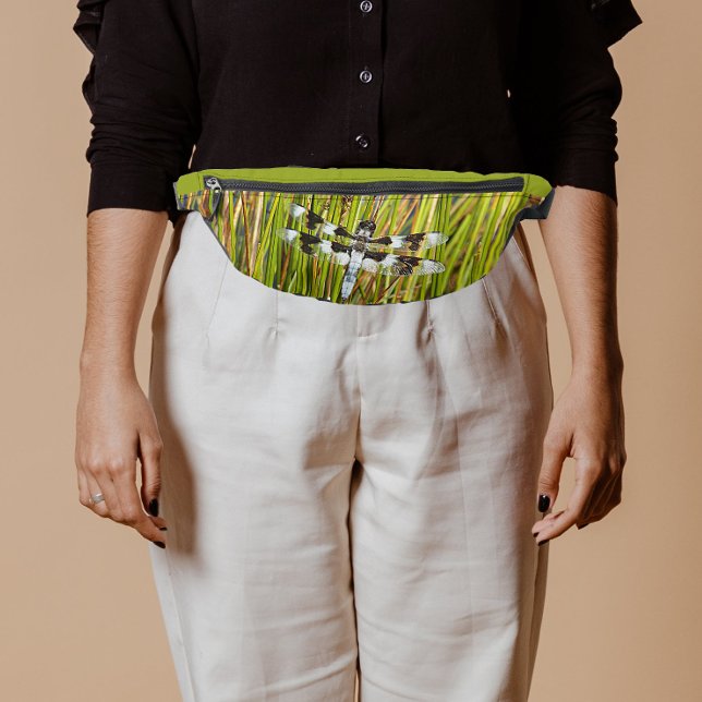 Bécasseau blanc commun (In Situ)