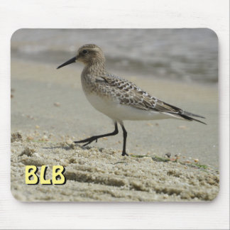 Bécasseau sur la plage votre tapis de souris initi