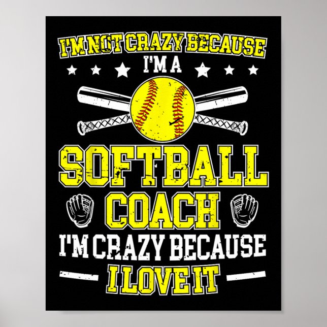 Because I'm A Softll Coach Softll Coaching  Poster (Vorne)