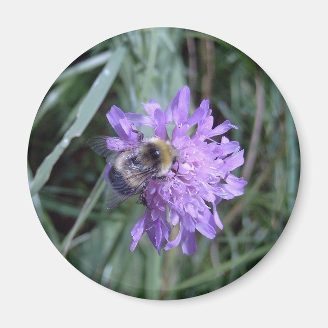 Becher Magnet (Vorne)