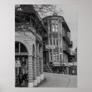 Becken Park und Flatiron Flats Graustufen Poster