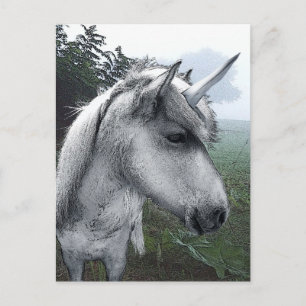 Becky's Unicorn Postkarte